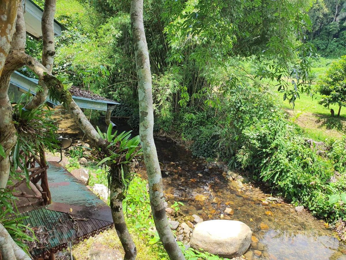 Malulee Khaosok Resort Khao Sok National Park Buitenkant foto