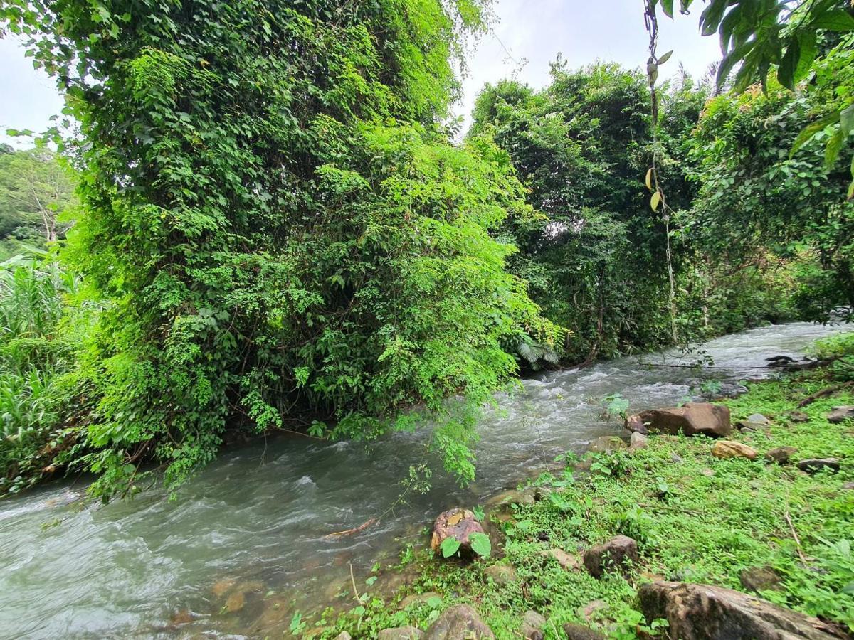 Malulee Khaosok Resort Khao Sok National Park Buitenkant foto