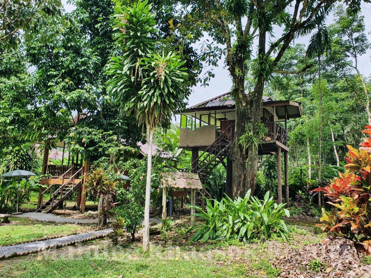 Malulee Khaosok Resort Khao Sok National Park Buitenkant foto