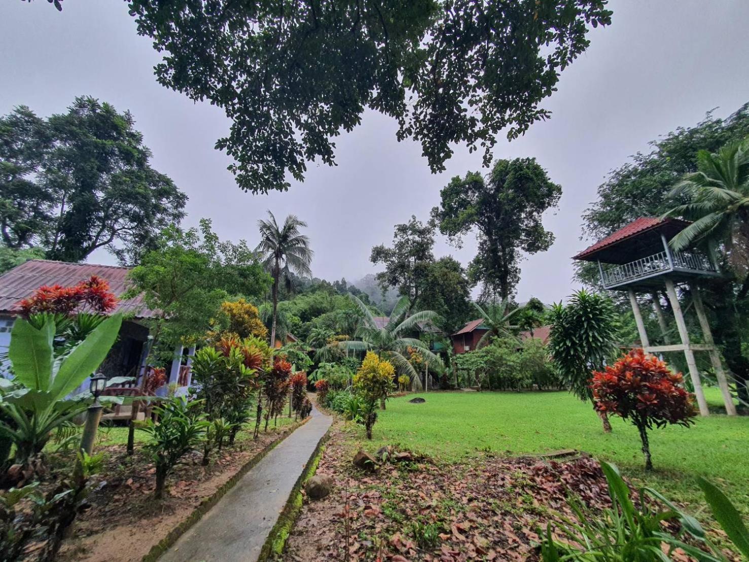 Malulee Khaosok Resort Khao Sok National Park Buitenkant foto